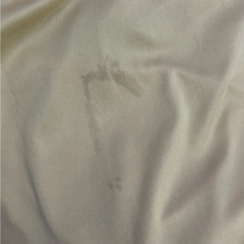 Tadashi Shoji Silver Nude Gown - Picture 10 of 10